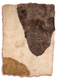 Kulfal Thin Rug #1